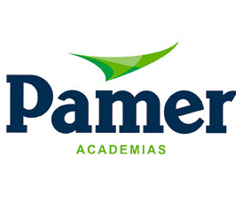 PAMER